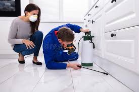 Best Fumigation Services  in Lenexa, KS